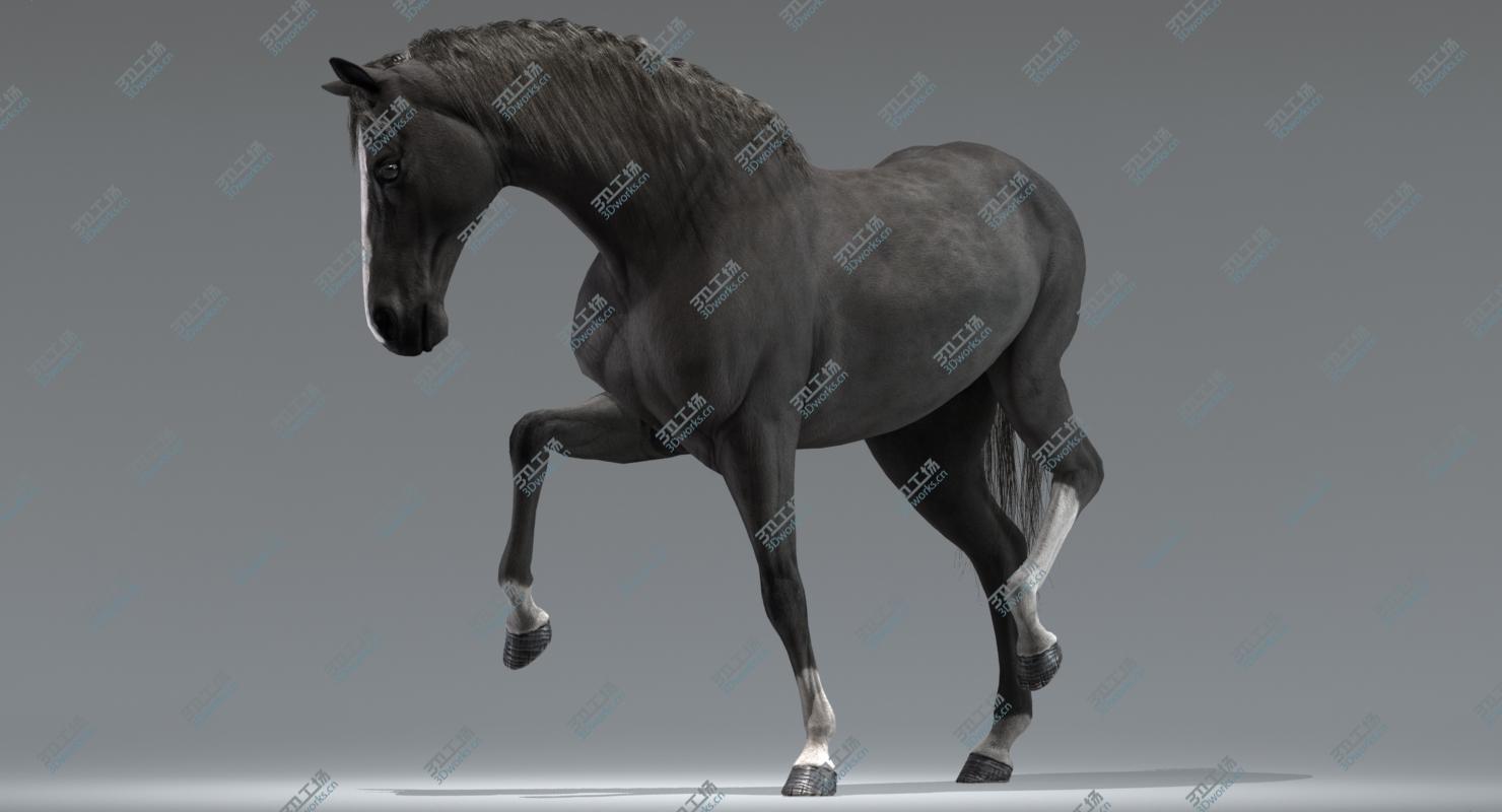 images/goods_img/20210313/3D Horses (Rigged) model/2.jpg